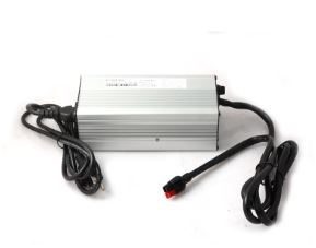 Lithium Battery Wall Charger, 10 amp